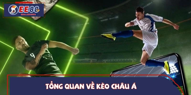Khái quát về tỷ lệ châu Á thịnh hành